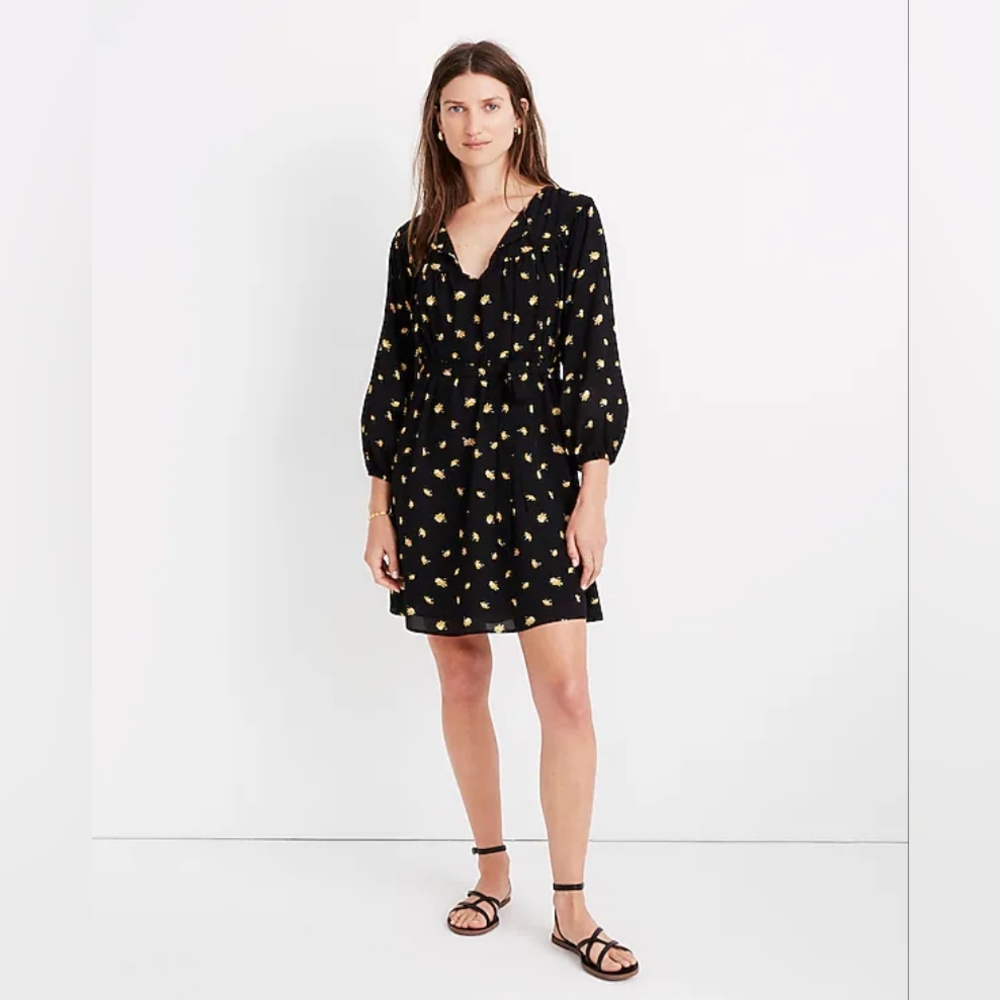 Madewell Tie-Waist Mini Dress in French Daisies